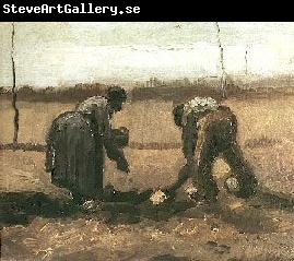 Vincent Van Gogh Peasant and Peasant Woman Planting Potatoes